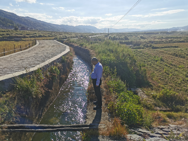 8b97317a5760754ec2c568931e1f01b8