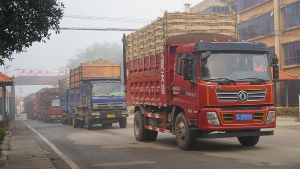 db8e8d926e1361be7806c5f8609a981b