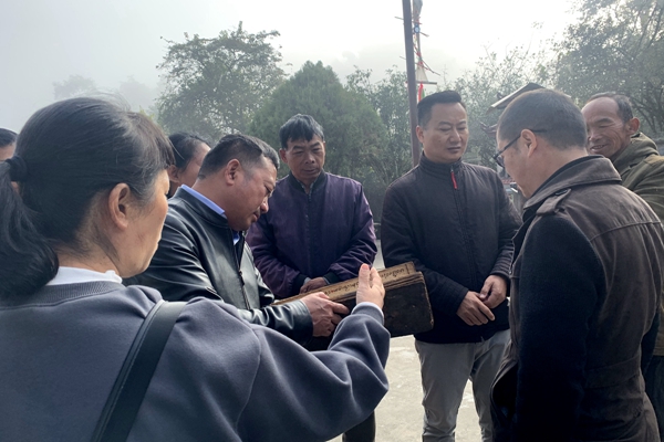 6e5040c60a57fd8cf345c3a2f264ed22