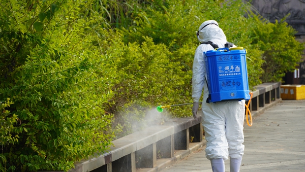 45d672eefefd4b6bcd966f2b417b2b53