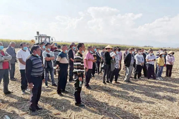 fb350dcdbbdbfc696c31fd045932ad00