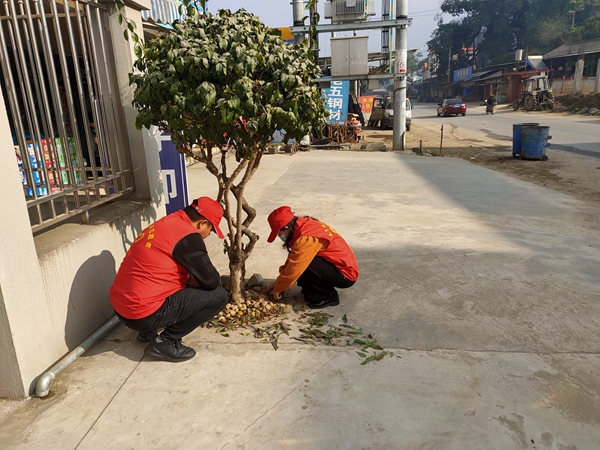 5d6746d3b11c854de7b081b65e140b79