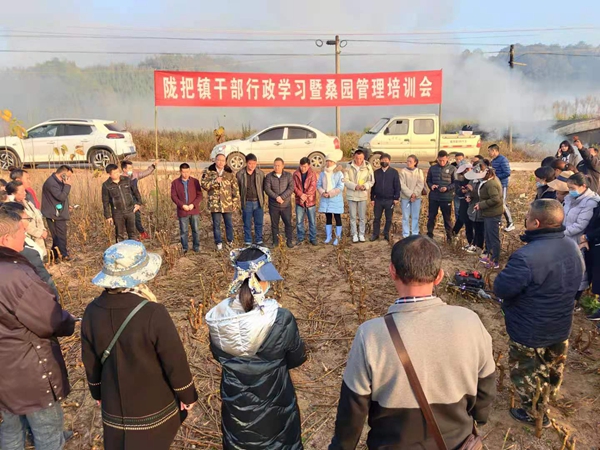 7f36c4d3e078eb0f0e9b9a4cc41269e1