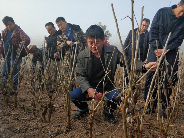 4fe26bb78f540f3714fa4a849f3739c0