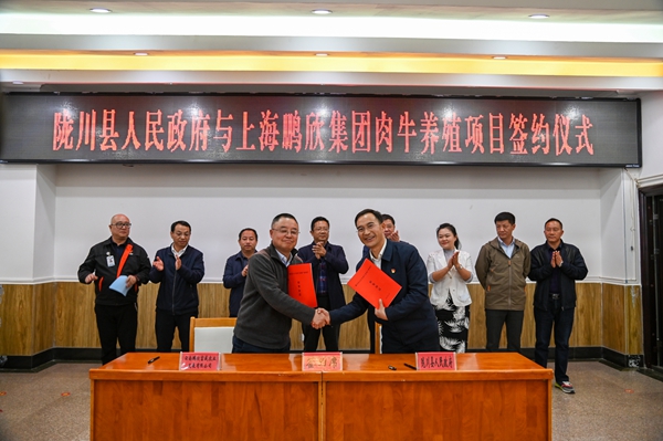 29633887cbf6b44c1845e989cfbcc0dc