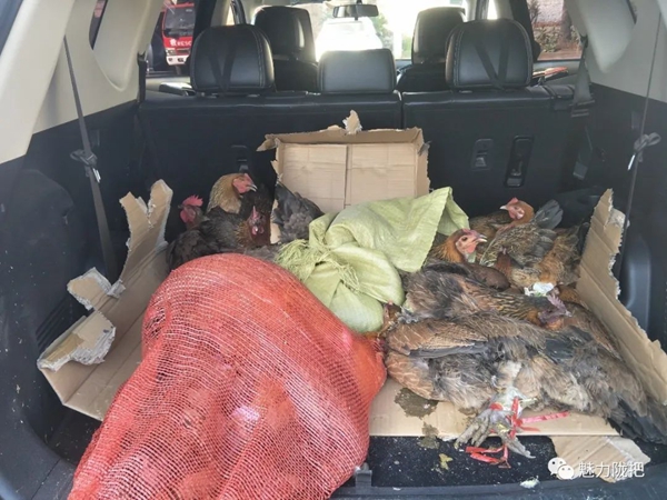 f451f7c5db787f7d5f4926d0444ca927