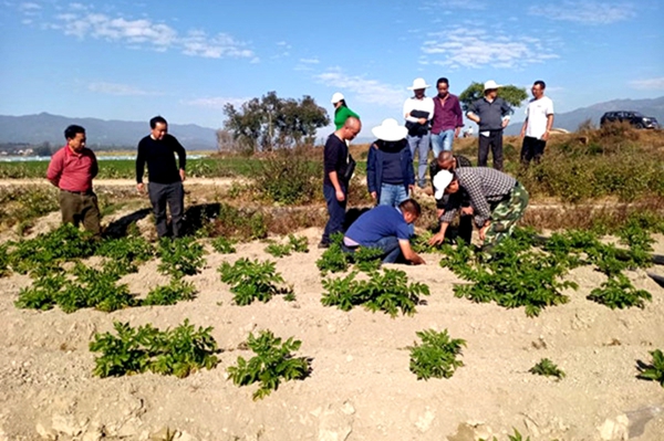 6d301b4ed01872b7527f4bcbef3ae53f