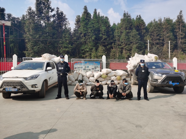 d8d1c6fdb3852f9d60f3a763360f3c5e