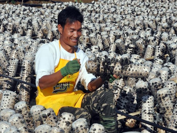 7834f8769860b09a7de4ab162b6180d9