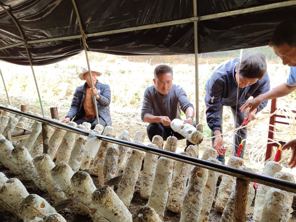 993750596e9abb876191d543086c8f76