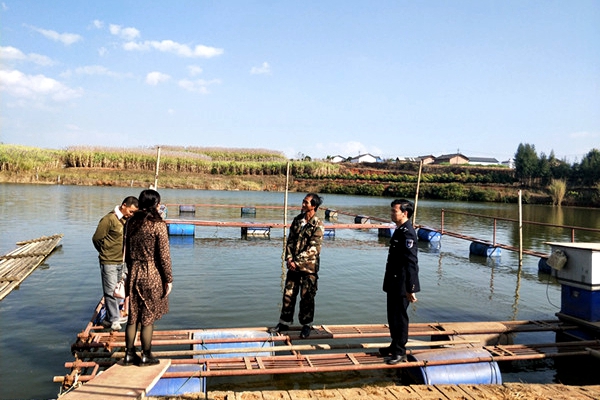 94ed8b65473c1b6db403427c59b8783e