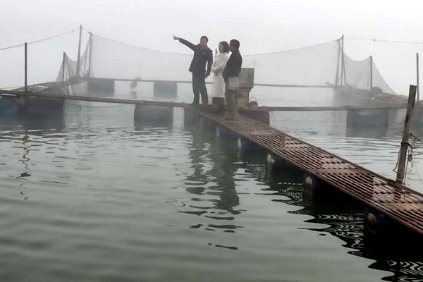 f736a2620048cbbc6eba9501b7dcfb2d