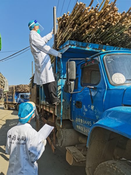 4151c8aeb1a25408fa493ed0efa5f91b