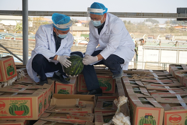 438f2a3e5648676e4bb8d70a7e49089a