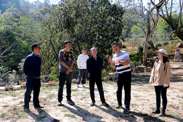 89c835552234f477739338197be42936