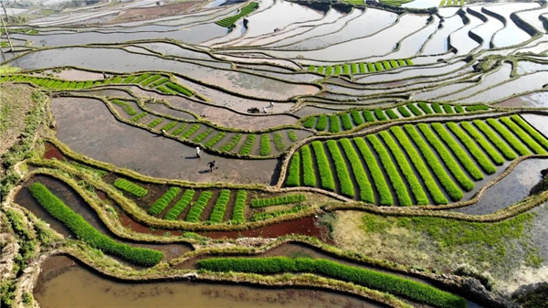 809f7530ac7ebbda89e5086fc0ae7e03