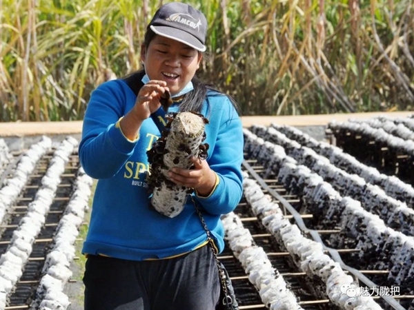 ee96ad3e82550d7d9e6066bc91d7c5ab