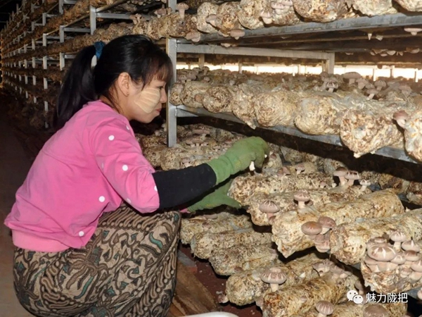 70fead5318d7b83a357fbdb37c0f4ca3