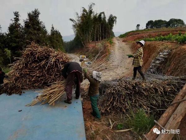 08940f73447d0e1786621e5960181871