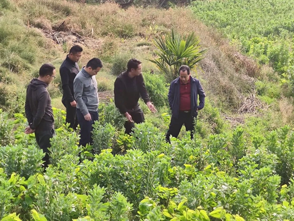 951246b935e9f34a382781c552336b43