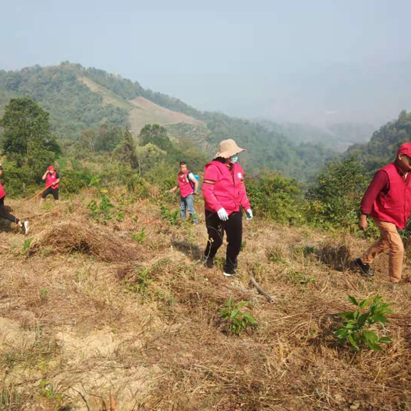 56d5ea2ea18d2b38fe05600e2364a722