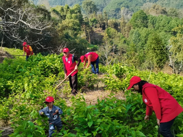 986723a19ff4946fc7315f5a4ab15ffb