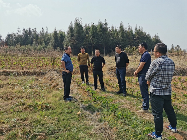 b0828db41b65882c27c67a4072af41f3