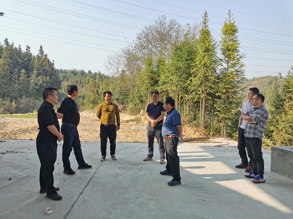 d0019db1002cce7b44071d94d7a67219