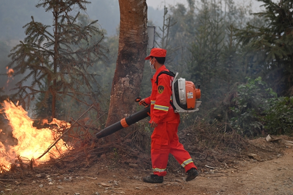 033354f9276590a9314053acdda46dec