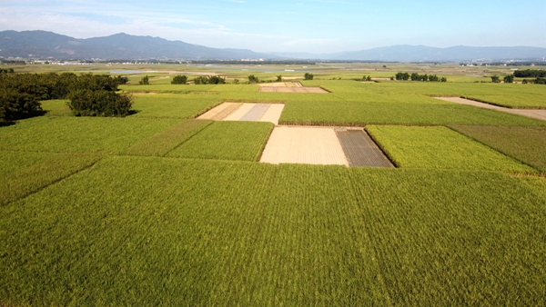 959370a0fc7f5925f47e085ea6bc7e13