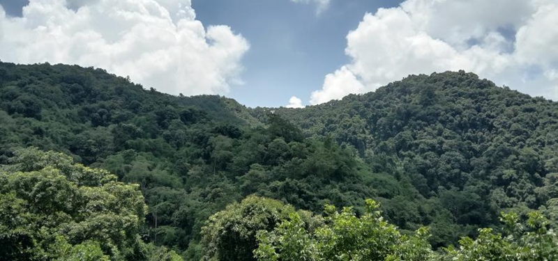 28D05EDH7H220729080950335DD74B