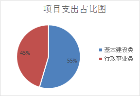 图片8项目支出图