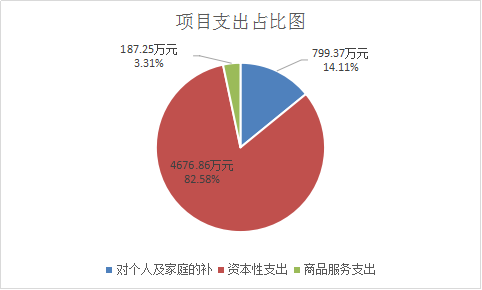 图片5项目支出图