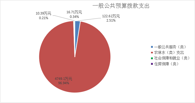 图片6一般公共预算
