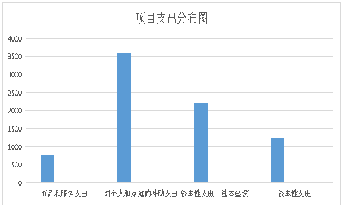图片5项目支出