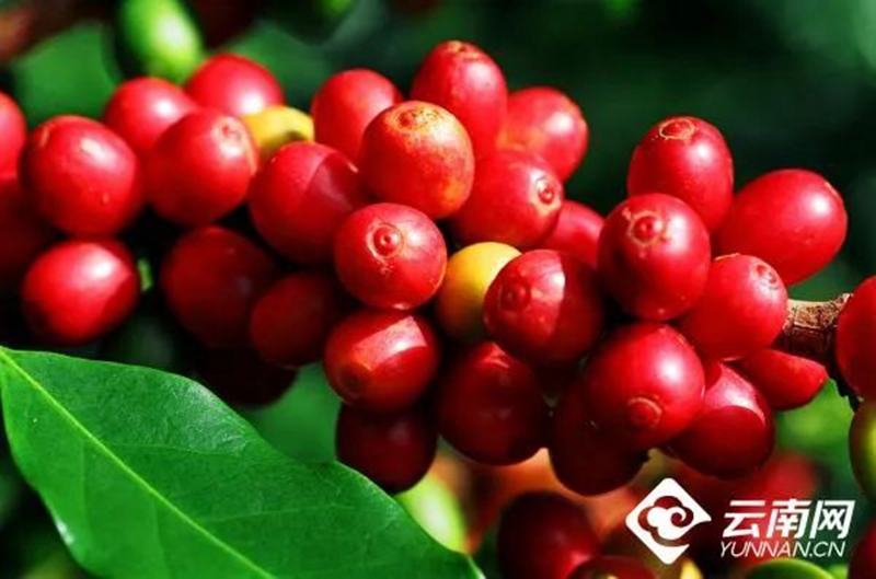 微信图片_20221124170239