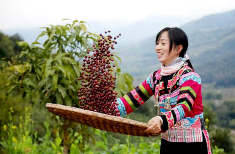 微信图片_20221124170246