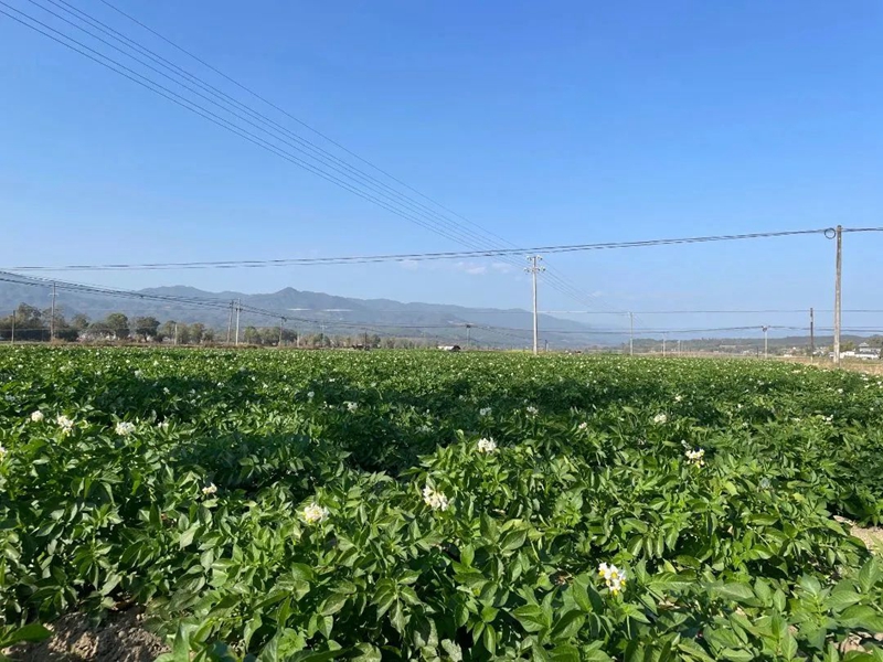 微信图片_20230131085827