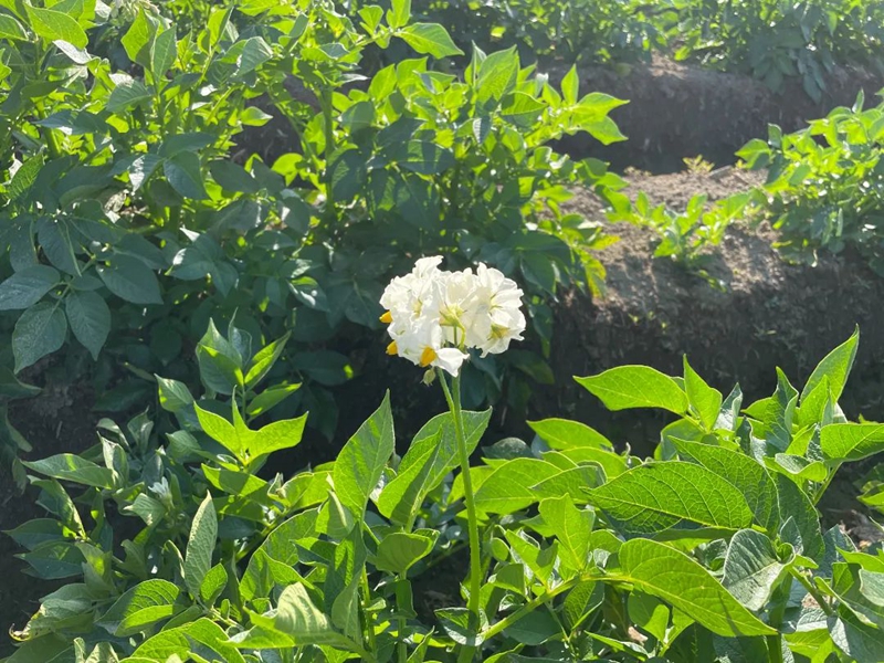 微信图片_20230131085838