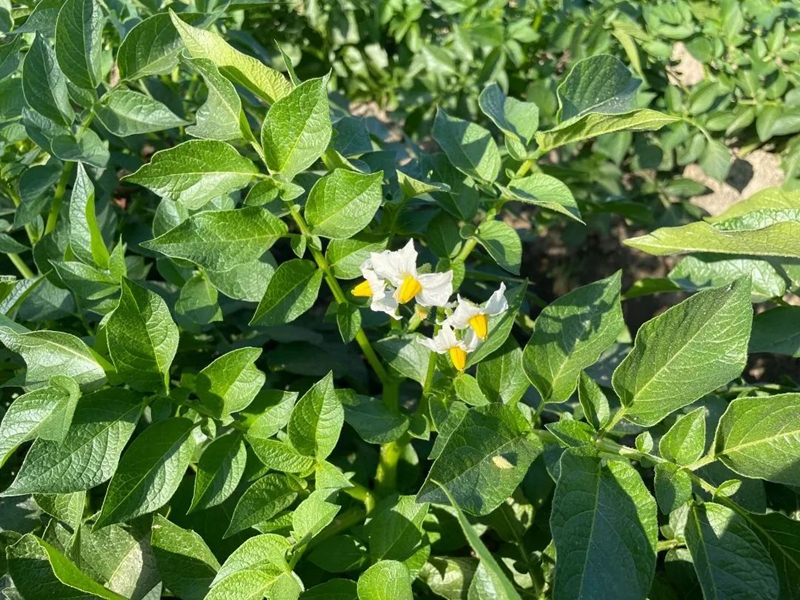 微信图片_20230131085841