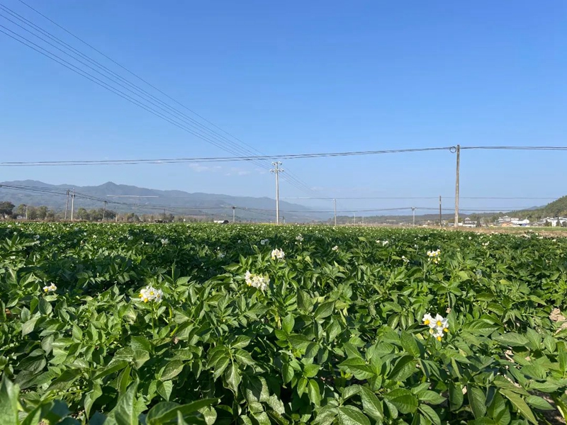 微信图片_20230131085844