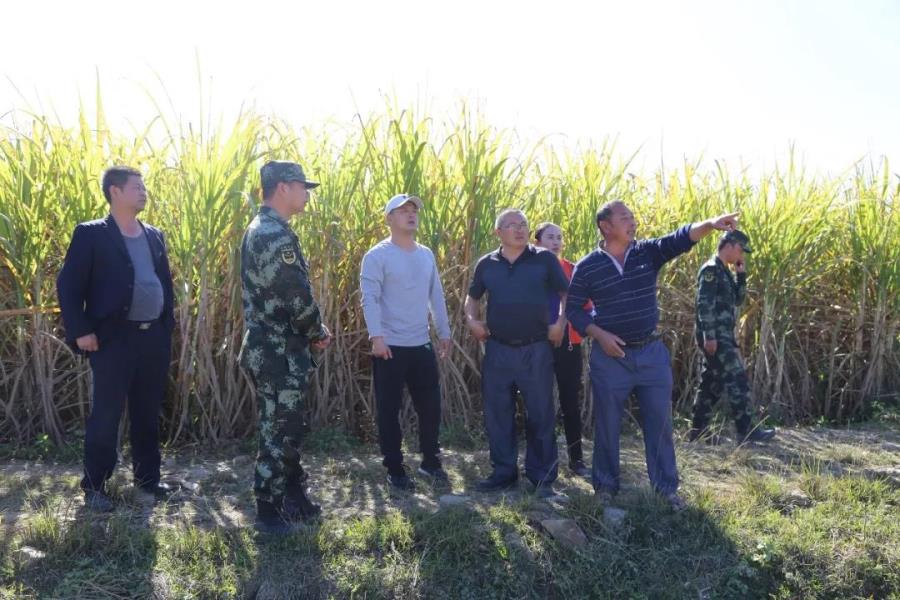 庄跃华副县长到拉影边境便道调研走私工作