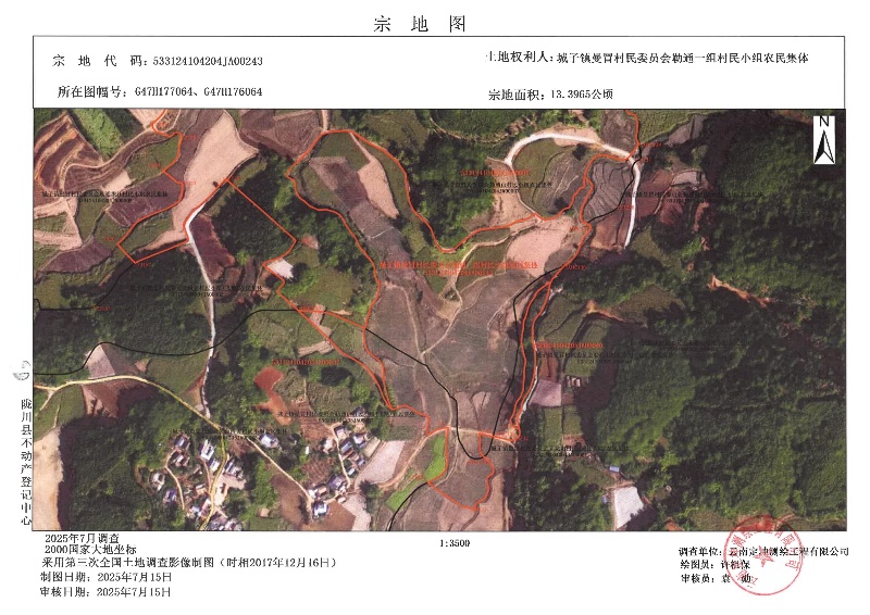 城子镇曼冒村民委员会勒通一组村民小组农民集体
