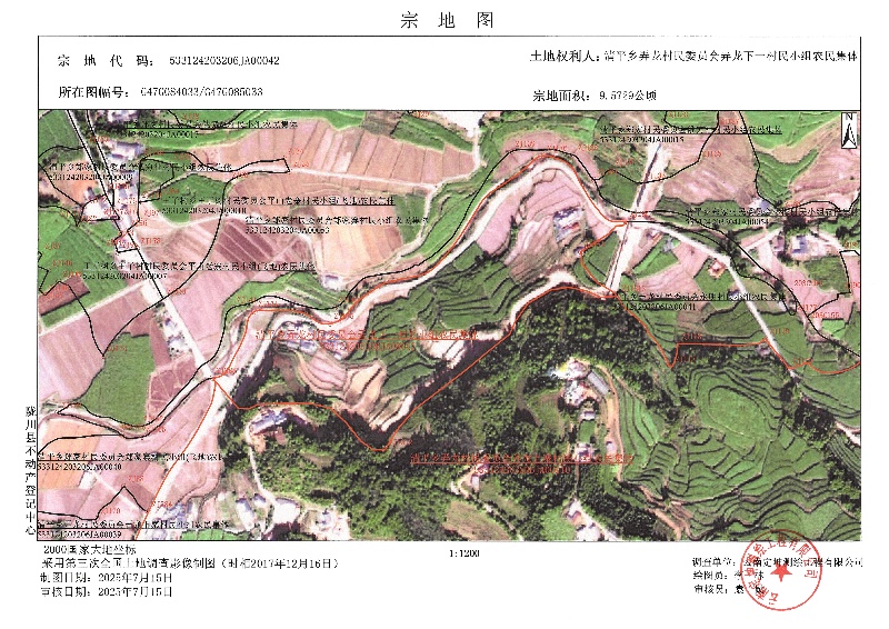 清平乡弄龙村民委员会弄龙下一村民小组农民集体