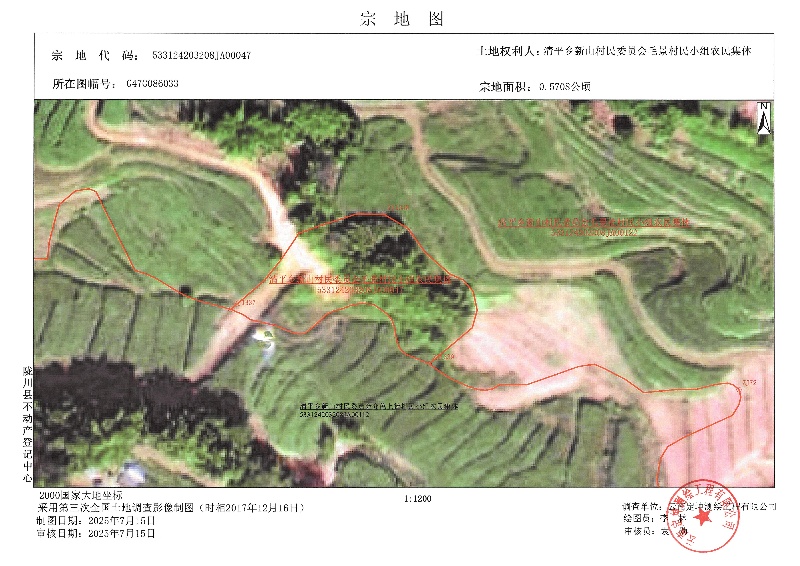 清平乡新山村民委员会毛景村民小组农民集体