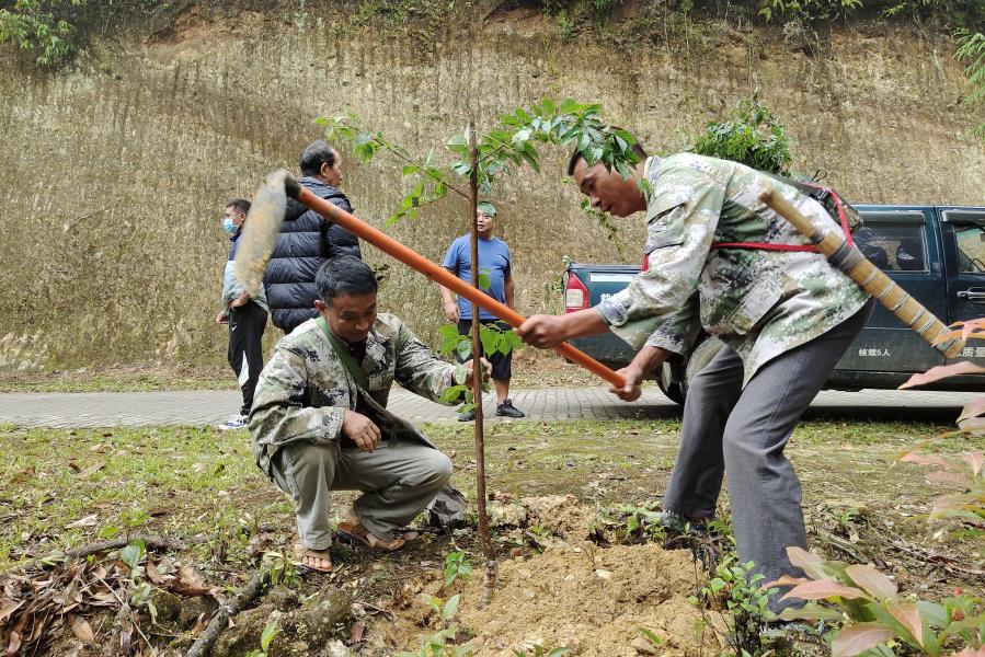 8a2052447e7df2518d1f14c7caefabe