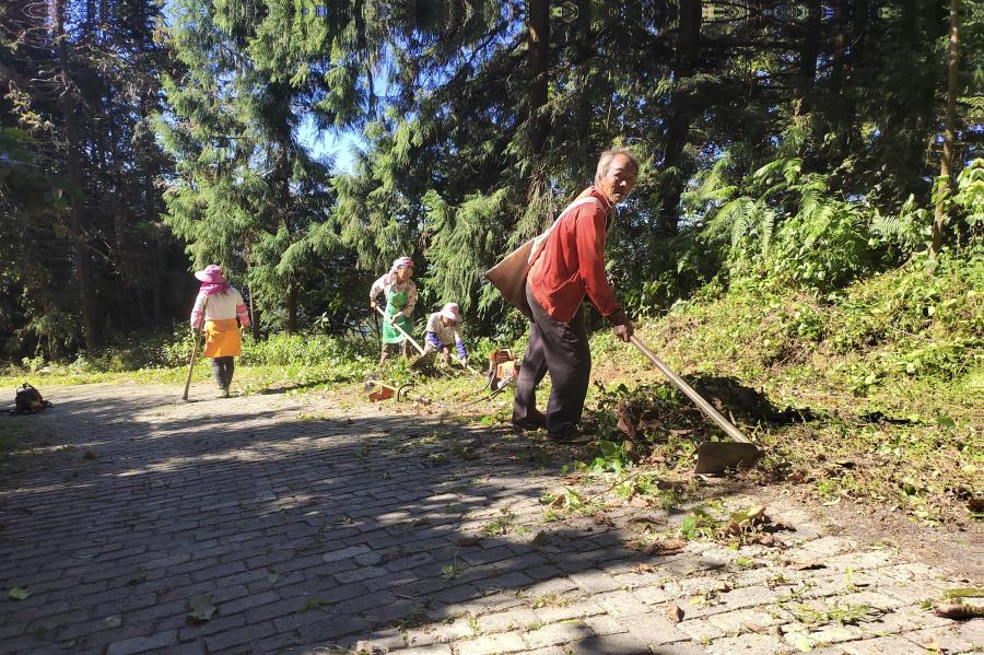 43f75b4b1c26ebd8ca66f3b291cf899