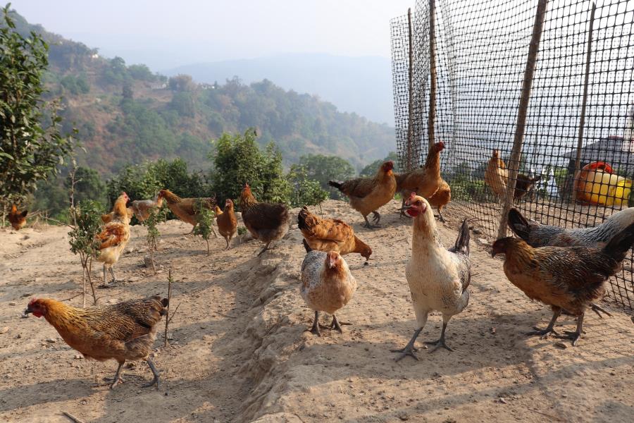 微信图片_20221203092629