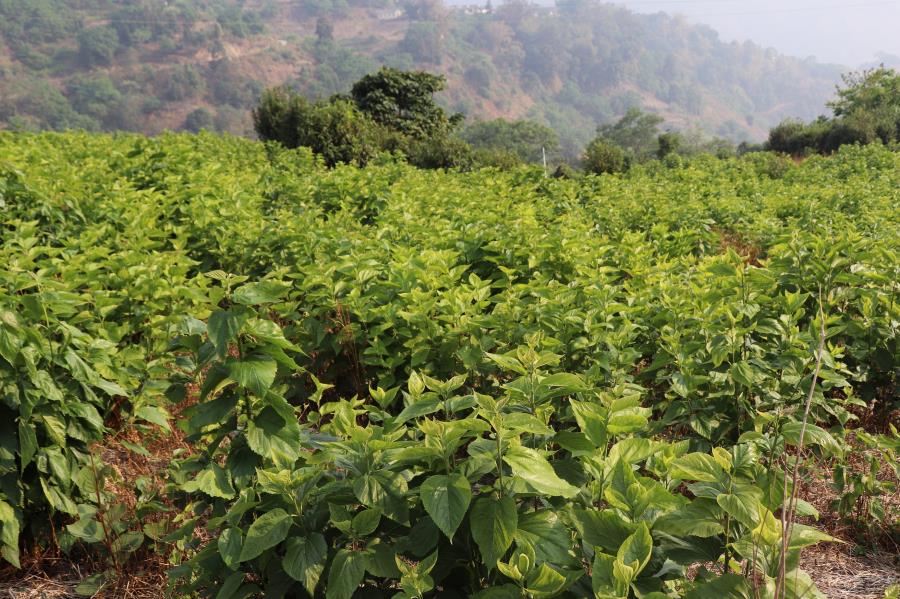 微信图片_20221203092636