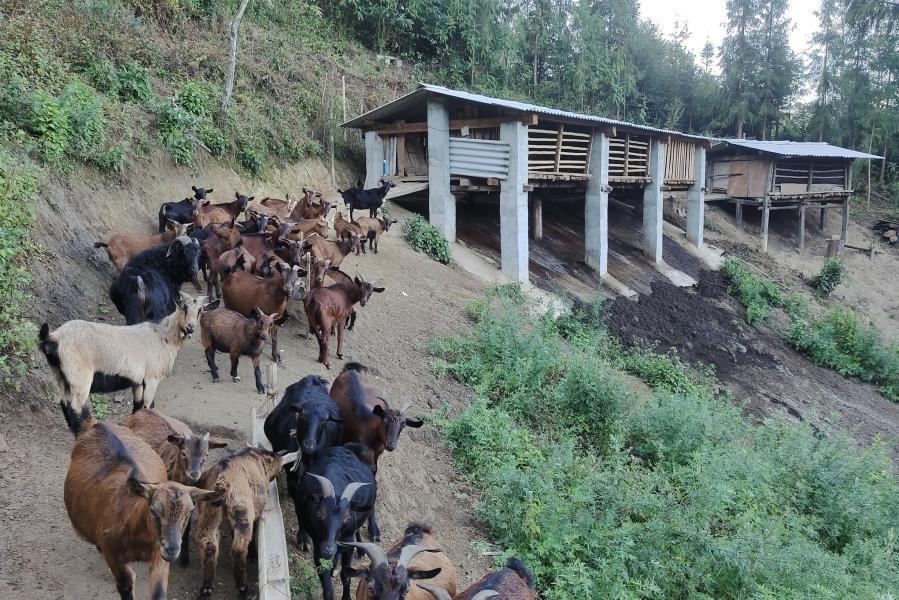 微信图片_20221127165019